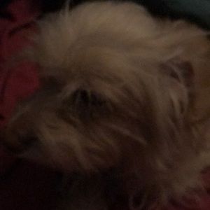 Meet your Posher, Allyson